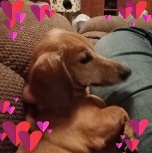 Meet your Posher, Tara